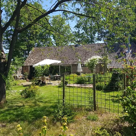 Huisje Vogelenzang Bed and breakfast *