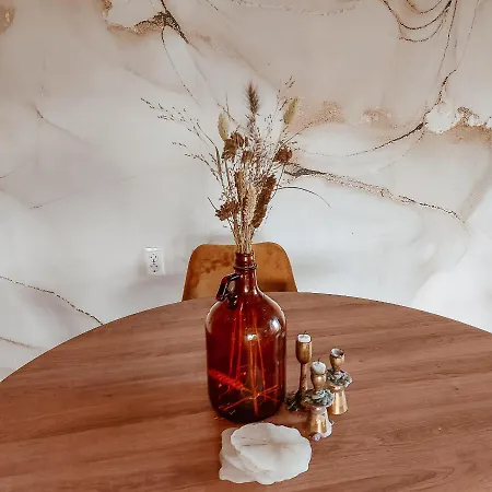 Oda ve Kahvaltı Huisje Vogelenzang Chaam