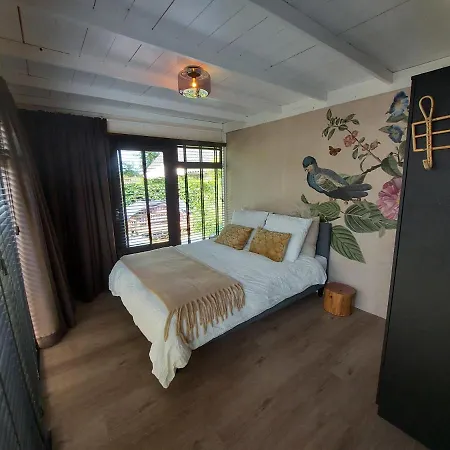 Huisje Vogelenzang Bed & Breakfast
