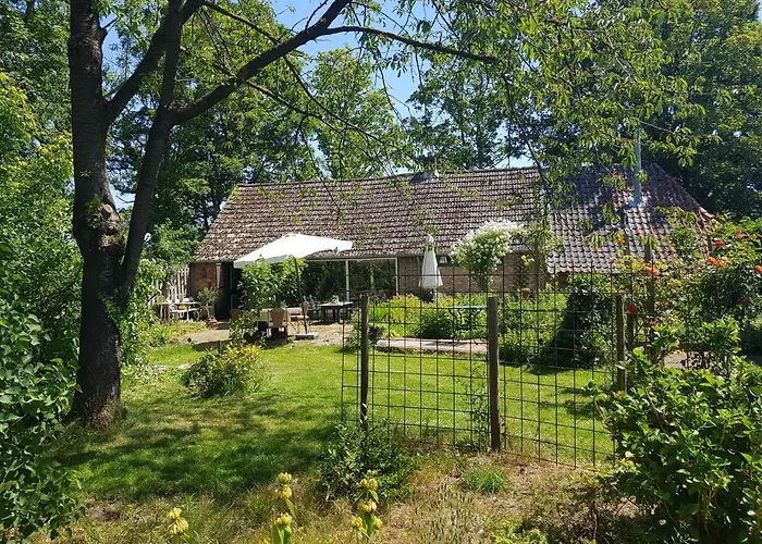 Huisje Vogelenzang Bed & Breakfast *