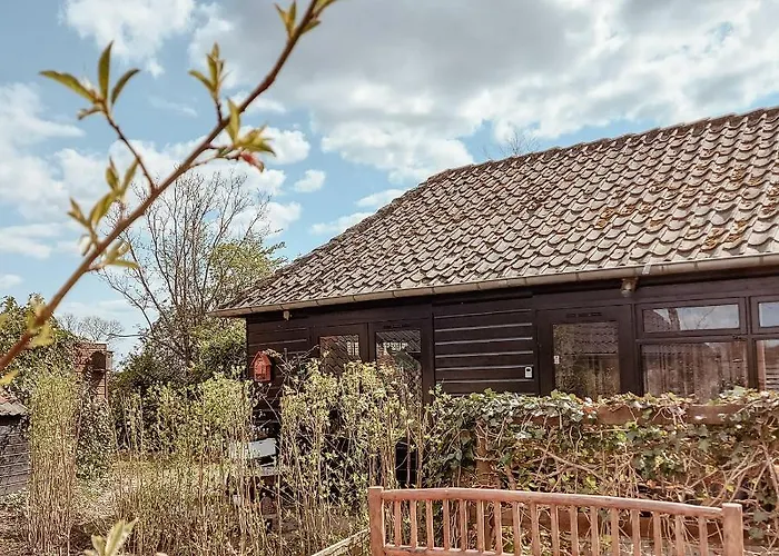 Huisje Vogelenzang *